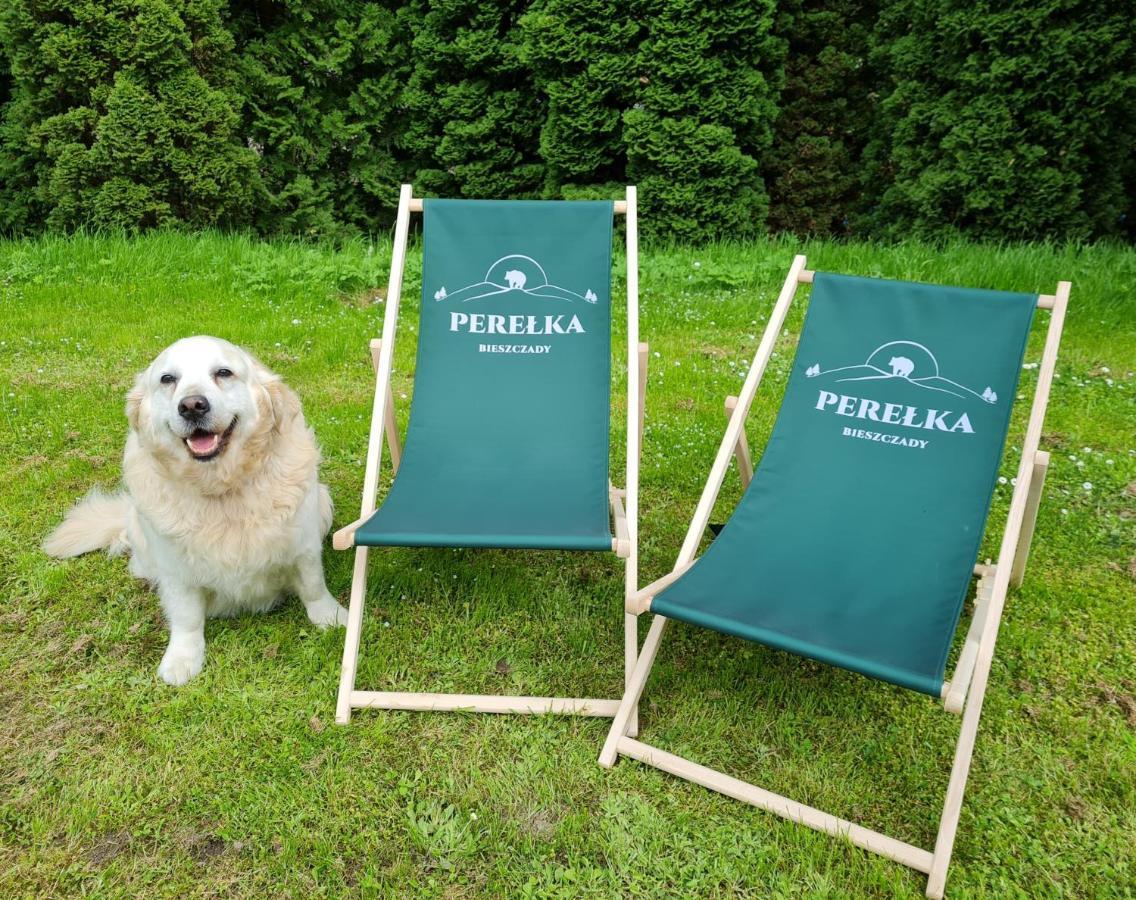 Perelka Bieszczady Domki チスナ エクステリア 写真