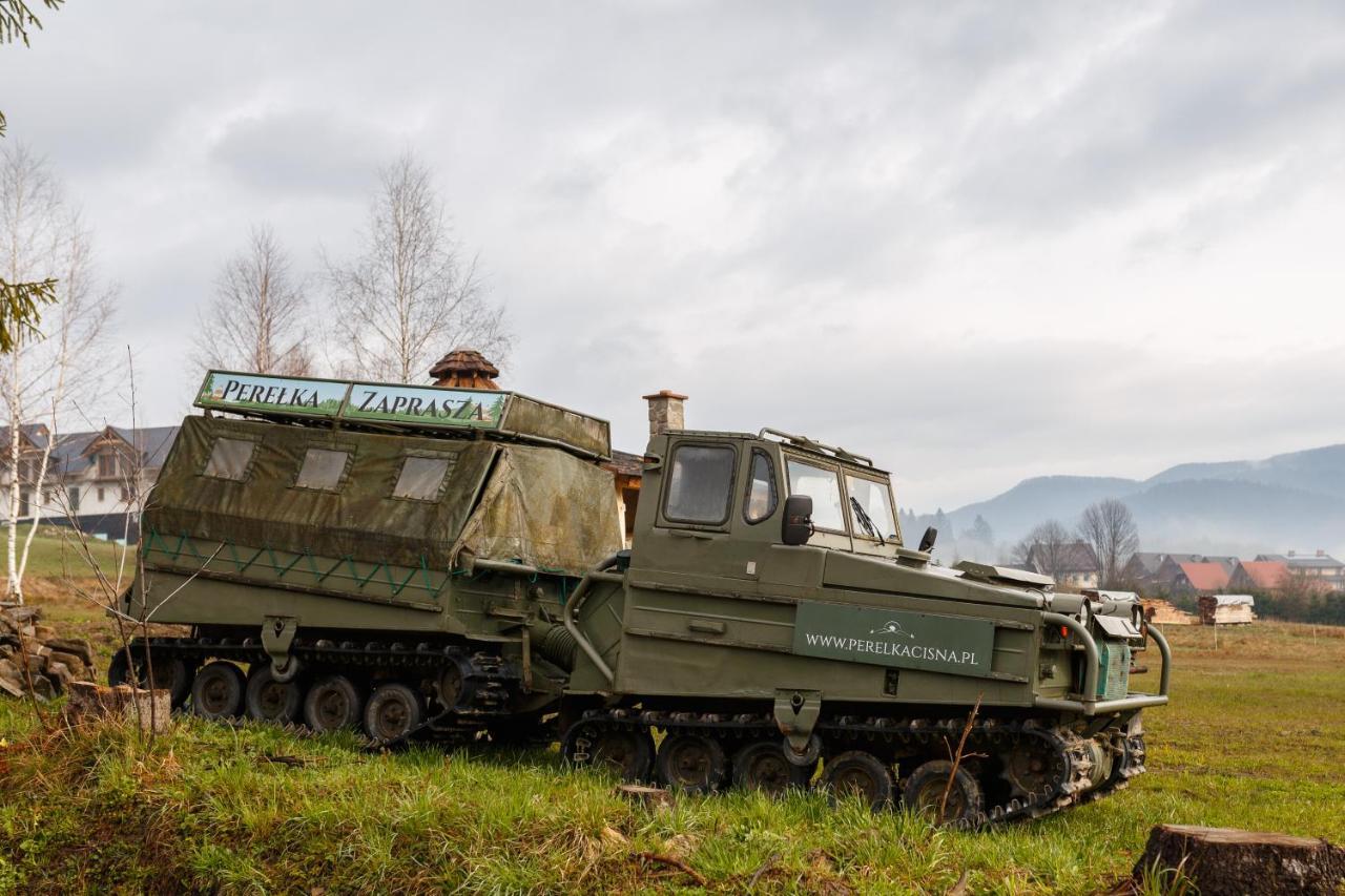 Perelka Bieszczady Domki チスナ エクステリア 写真