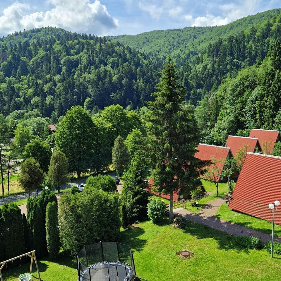 Perelka Bieszczady Domki チスナ エクステリア 写真